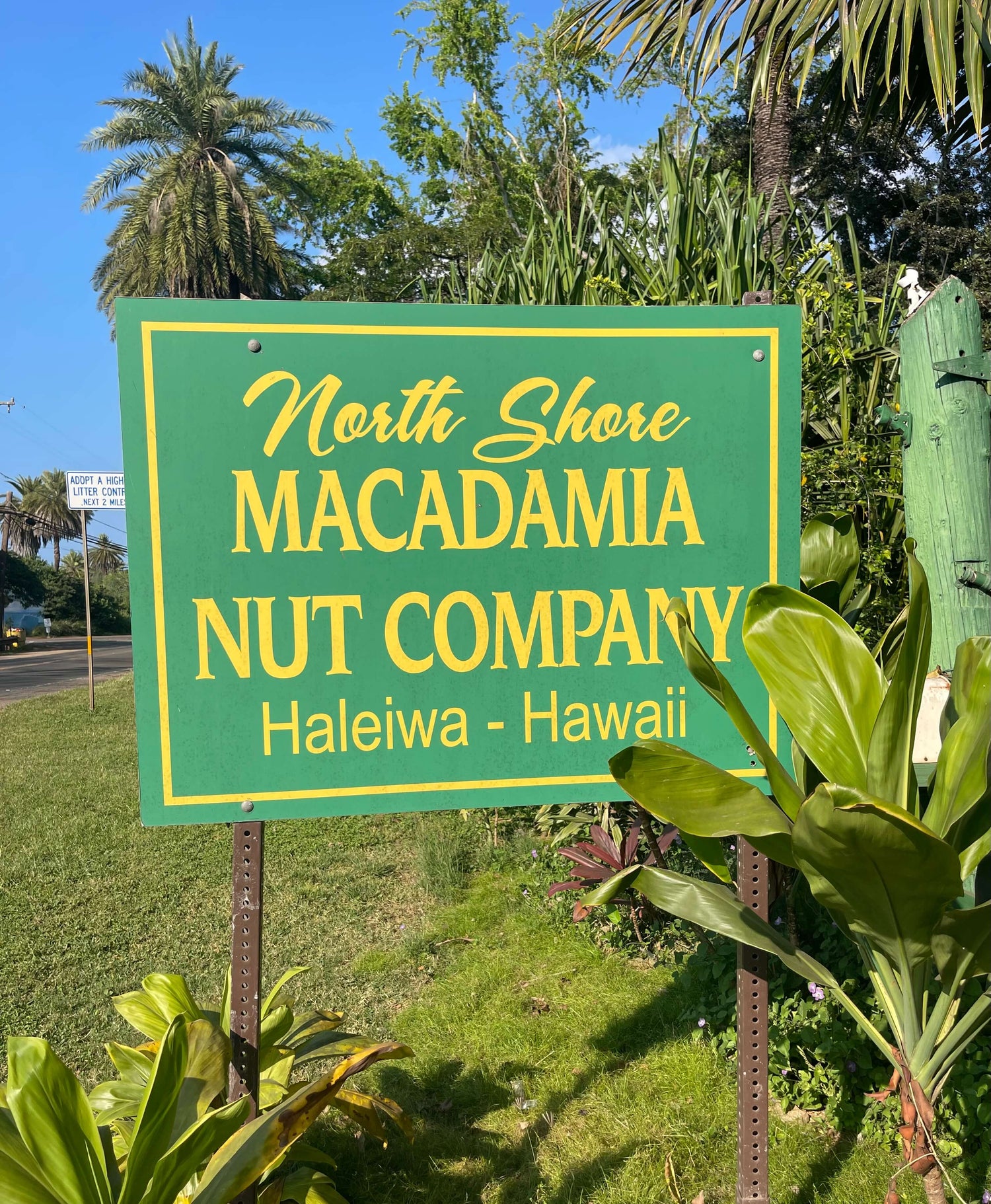 Macadamia Nut Company
