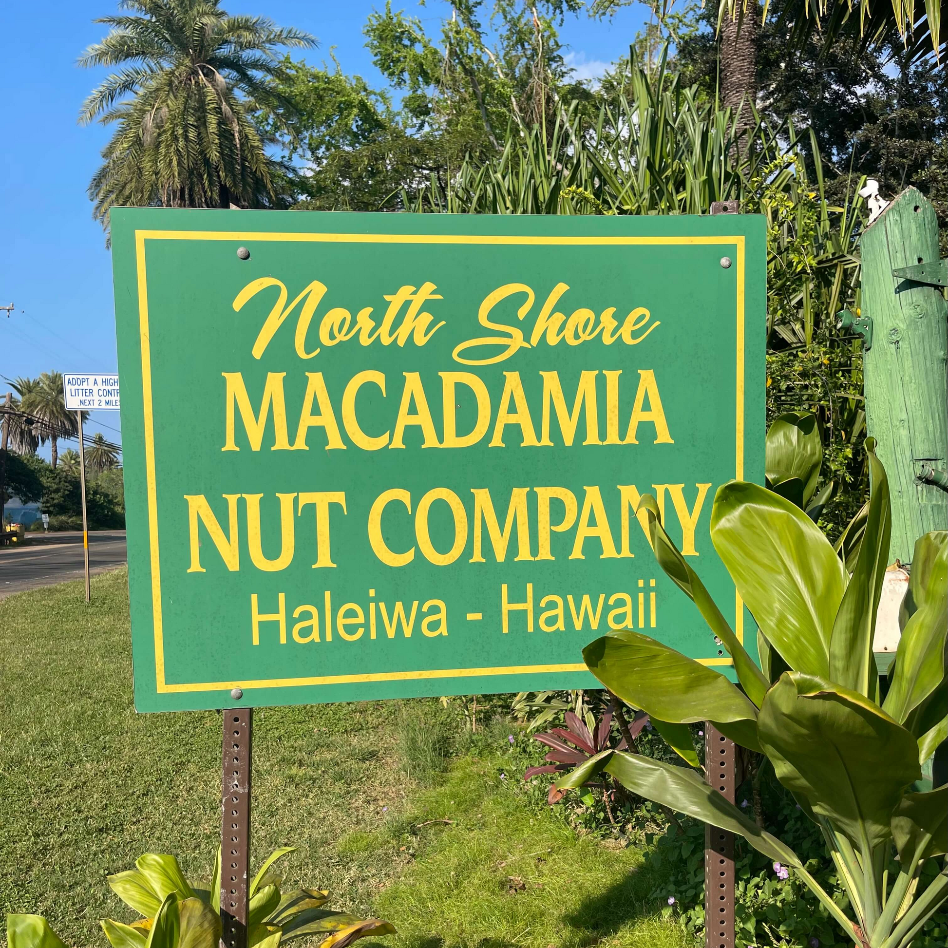 Macadamia Nut Company