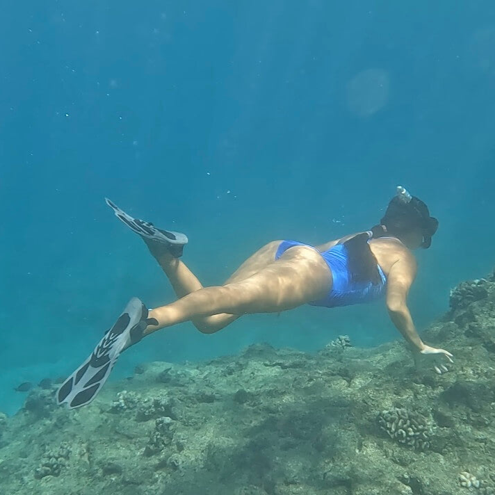 Shark Cove Beach Swimming