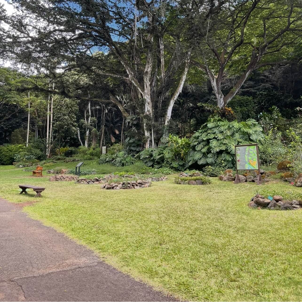 Waimea Valley Path