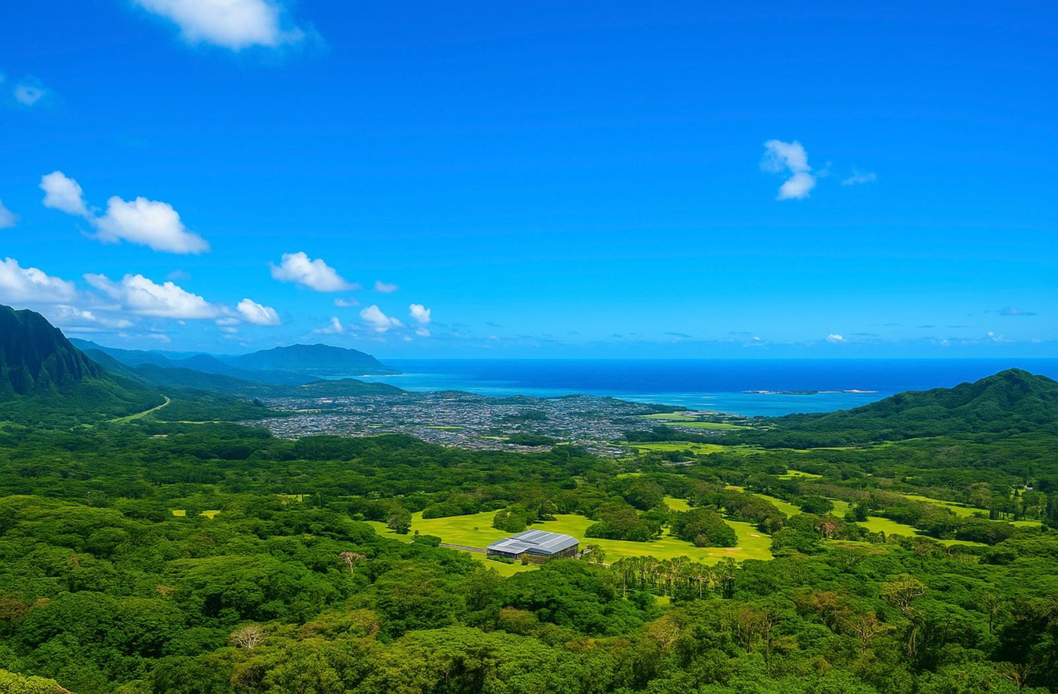 Pali Lookout