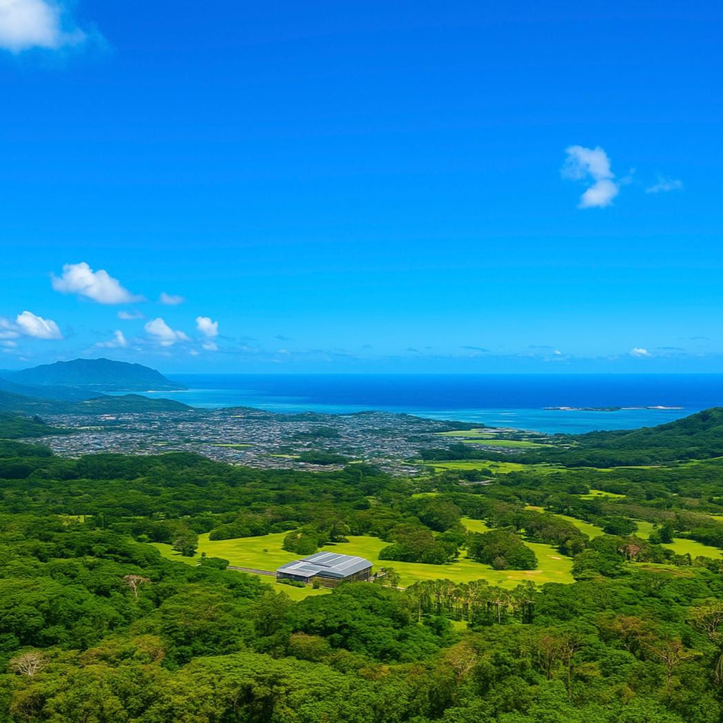 Pali Lookout