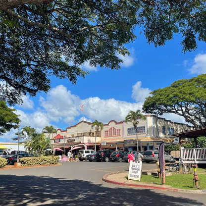 Haleiwa town