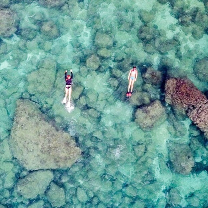 Shark Cove Beach